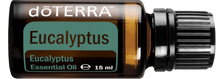 Lade das Bild in den Galerie-Viewer, ätherisches Öl Eucalyptus (Eukalyptus) 15ml, doTERRA